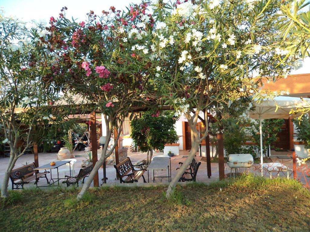 Daydream Hill Hotel Stavros  Exterior photo